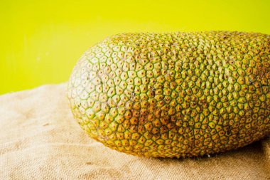 Artocarpus tamsayı (