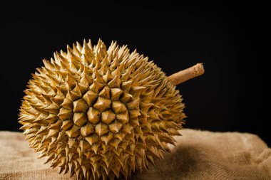 Durian, Durio cinsine ait çeşitli ağaç türlerinin meyveleridir. Tanınan 30 Durio türü vardır ve bunların en az dokuzu yenilebilir meyve üretir..