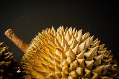 Durian, Durio cinsine ait çeşitli ağaç türlerinin meyveleridir. Tanınan 30 Durio türü vardır ve bunların en az dokuzu yenilebilir meyve üretir..