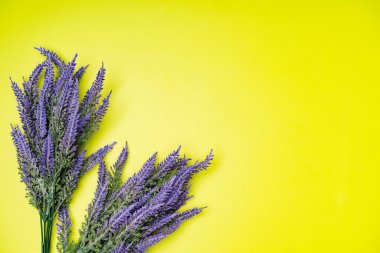 Lavanta çiçeğinin düz bileşimi, üst görünüm