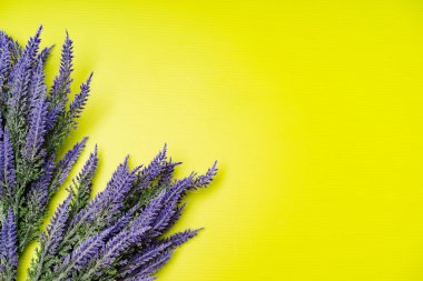 Lavanta çiçeğinin düz bileşimi, üst görünüm
