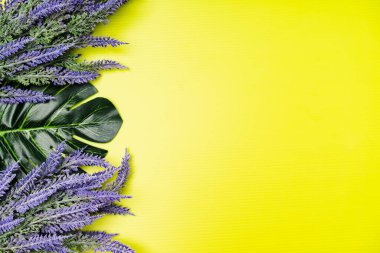 Lavanta çiçeğinin düz bileşimi, üst görünüm