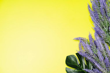 Lavanta çiçeğinin düz bileşimi, üst görünüm