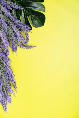 Lavanta çiçeğinin düz bileşimi, üst görünüm