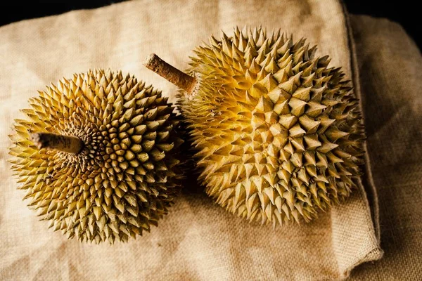 stock image The durian is the fruit of several tree species belonging to the genus Durio. There are 30 recognised Durio species, at least nine of which produce edible fruit.