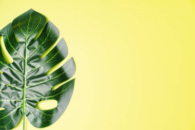 Dev canavar yapraklarının düzleştirilmiş bileşimi, metin için boşluğu kopyala