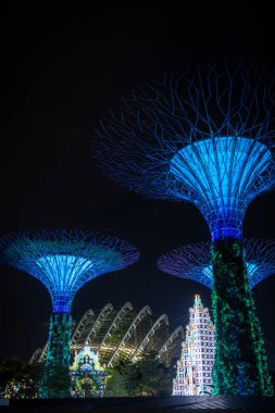 Geceleri körfez kenarındaki bahçelerde gümüş yapraklar