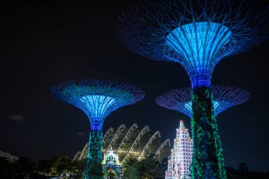 Geceleri körfez kenarındaki bahçelerde gümüş yapraklar