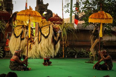 Bali Geleneksel Barong Dansı. Geleneksel Barong dans gösterilerinde, Rangda 'ya karşı mücadelesinde resmedilir, bu Bali kültürünün popüler bir parçasıdır..