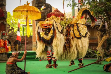 Bali Geleneksel Barong Dansı. Geleneksel Barong dans gösterilerinde, Rangda 'ya karşı mücadelesinde resmedilir, bu Bali kültürünün popüler bir parçasıdır..