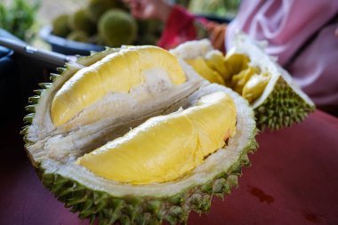 Musang King Durian 'ın yakın çekimleri, aynı zamanda orijinal adıyla Raja Kunyit, derin sarı et, geniş ve kör dikenler, dikenler ve görünür dikişler arasında bir boşluk var..