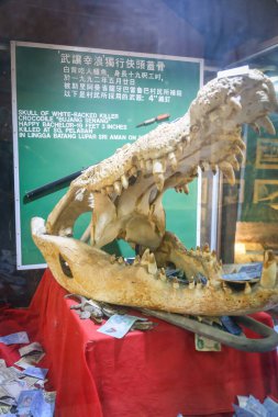 Bujang Senang skull at Jong's Crocodile Farm, Siburan clipart