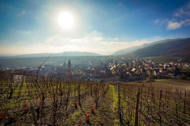 Riquewihr Köyü 'nün güzel manzarası, Fransa Vineyard Tepesi' nin tepesinden
