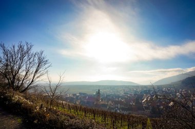Riquewihr Köyü 'nün güzel manzarası, Fransa Vineyard Tepesi' nin tepesinden