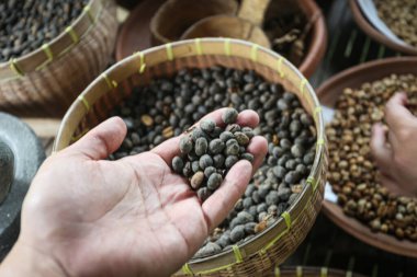 Bali Luwak kahvesi Bali 'de özel bir kahvedir.