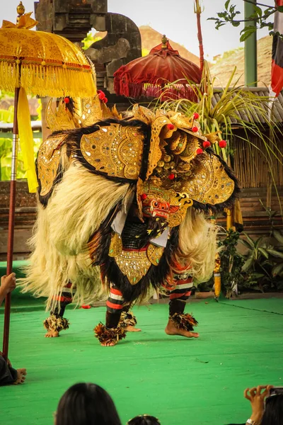 Baile Tradicional Balinés Barong Las Actuaciones Tradicionales Danza Barong Retratado — Foto de Stock