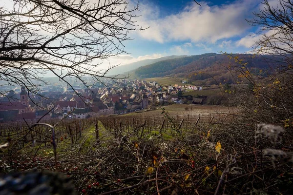 Den Vackra Utsikten Över Riquewihr Village Frankrike Från Toppen Vineyard — Stockfoto