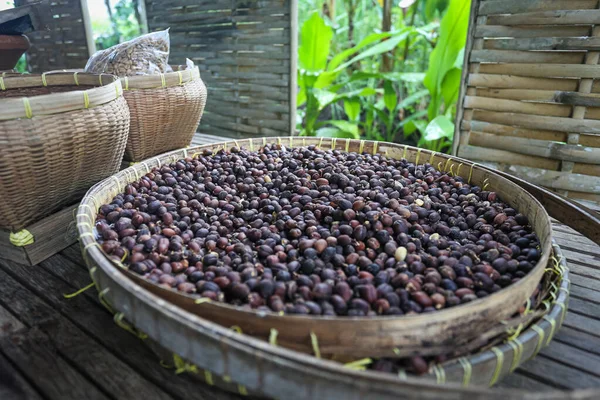 Balijská Káva Luwak Speciální Káva Bali — Stock fotografie