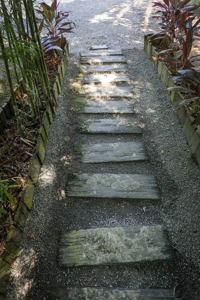 Landschaftlich Reizvoller Blick Auf Einen Waldweg — Stockfoto