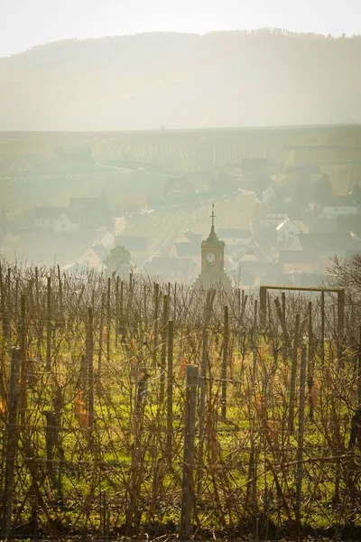 Beautiful View Riquewihr Village France Top Vineyard Hill — Stock Photo, Image