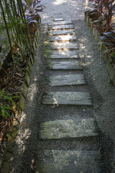 Landschaftlich Reizvoller Blick Auf Einen Waldweg — Stockfoto