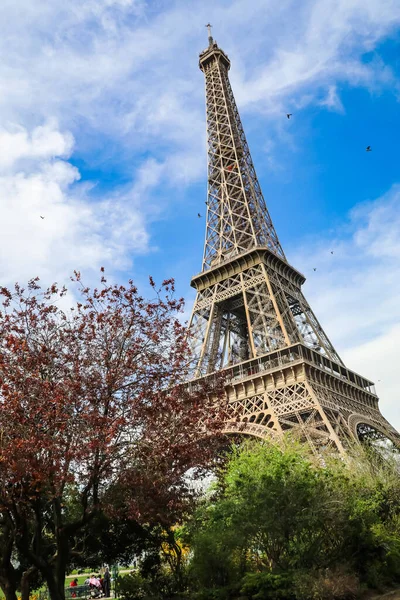 Torre Eiffel Una Torre Celosía Hierro Forjado Campo Marte París — Foto de Stock