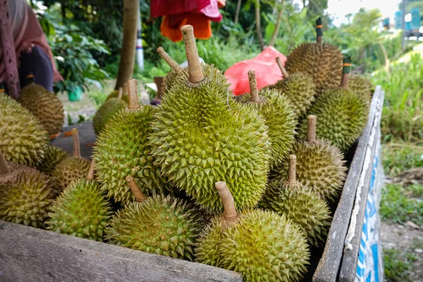 Closed Shot Musang King Durian Also Known Its Original Name — Stock Photo, Image