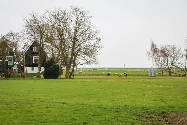 Hollanda Nın Zaan Schaans Kentindeki Manzaralı Ülke Görüşü — Stok fotoğraf