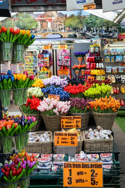 Tulipas Amsterdã Durante Primavera — Fotografia de Stock