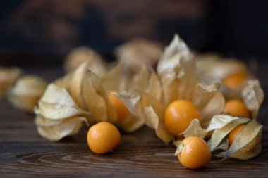 Olgun Berry Physalis Kutuda