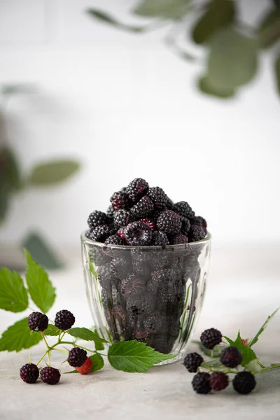 Rijp Zwart Bos Frambozen Een Glas Tafel — Stockfoto