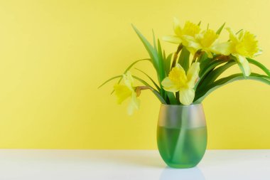 Pastel arka plandaki cam vazoda bahar çiçekleri kartpostallar için, anneler günü için selamlar, sevgililer günü için.