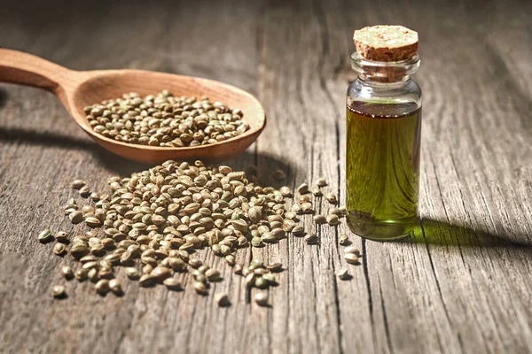 Hemp seeds and hemp oil on wooden table. Hemp seeds in spoon and hemp essential oil in glass bottle. close up