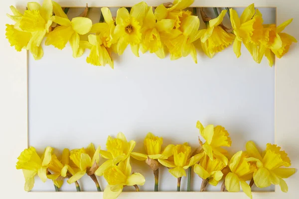 Modèle Couronne Cadre Papier Avec Narcisse Jaune Composition Florale Sur — Photo