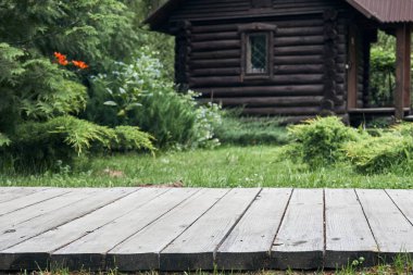 Tahta teras ya da bahçesinde yeşil çimenler ve ağaçlar olan patika. Bahçe tasarımı.