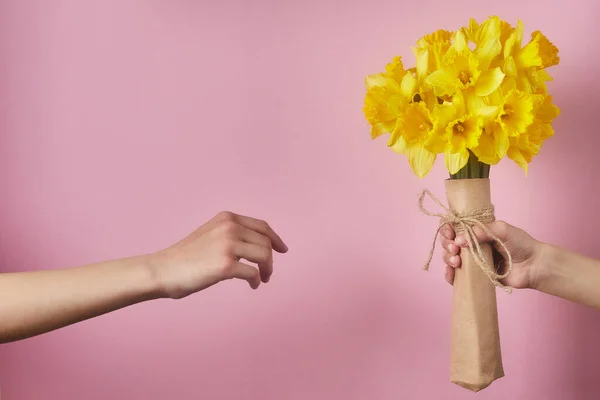 Children hand holding flowers on a pink background. Bouquet of yellow narcissus for Birthday, Mothers or Valentines day.