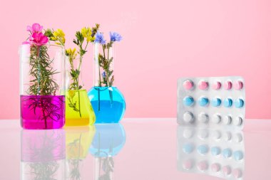 Renkli haplar ve pembe arka planda bitkileri olan test tüpleri. Doğal organik ilaç ve laboratuvar araştırmaları kavramı.