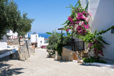 Deniz manzaralı, palmiye ağaçları ve çiçekli tatil köyleri.