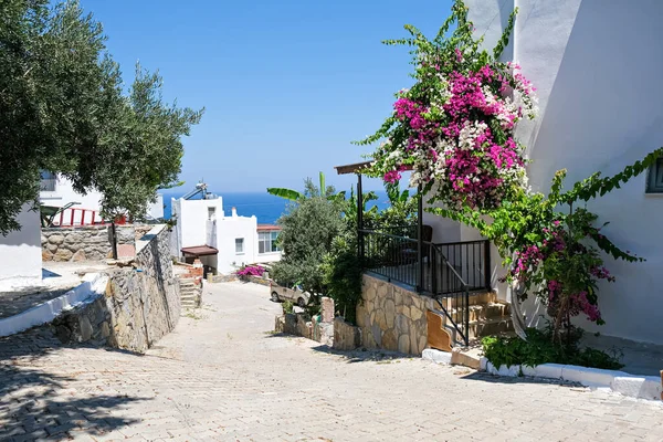 Villas de vacaciones blancas casas en complejo con vistas al mar y palmeras y flores —  Fotos de Stock