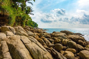 Büyük kayalıkları olan tropikal deniz kıyıları.