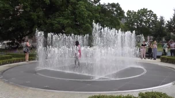 Fontein Van Het Rijksmuseum Amsterdam Amsterdam Nederland Juli 2017 — Stockvideo