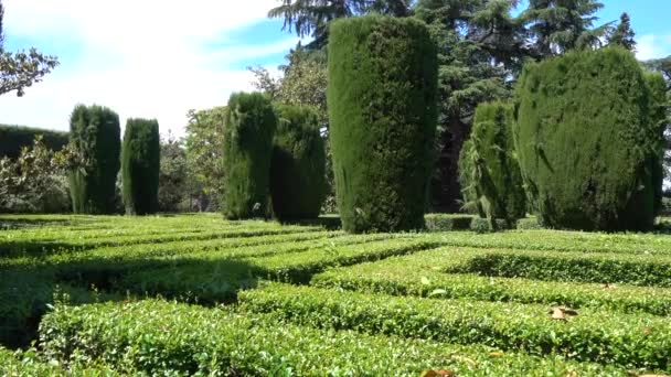 Groene Tuin Met Verzorgde Struiken Tuinen Van Sabatini Madrid — Stockvideo