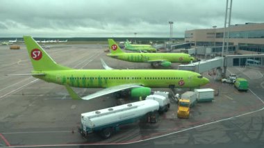 Domodedovo havaalanı, S7 uçakları havaalanında. Rusya, Moskova Domodedovo Temmuz 2020