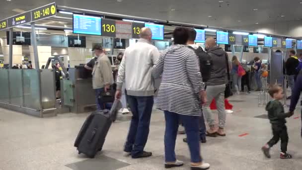 Lotnisko Domodedovo Stanowiska Odpraw Pasażerowie Meldują Się Lot Rosja Moskwa — Wideo stockowe
