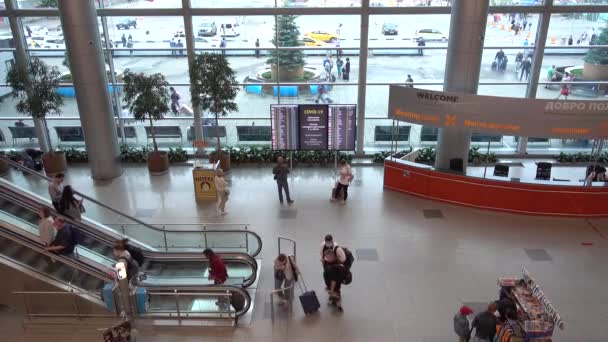 Lotnisko Domodedovo Hala Terminali Pasażerami Rosja Moskwa Domodiedowo Lipiec 2020 — Wideo stockowe