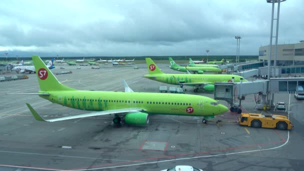 Domodedovo Havaalanı Uçakları Havaalanında Rusya Moskova Domodedovo Temmuz 2020 — Stok video