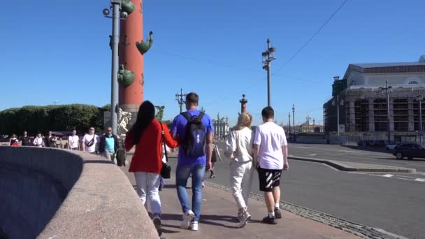 상트페테르부르크 바실레프스키 페테르부르크 Rostral 기둥들과 사람들은 여름의 걷습니다 러시아 상트페테르부르크 — 비디오