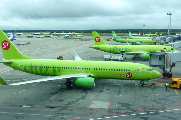 Domodedovo havaalanı, S7 uçakları havaalanında. Rusya, Moskova Domodedovo Temmuz 2020        