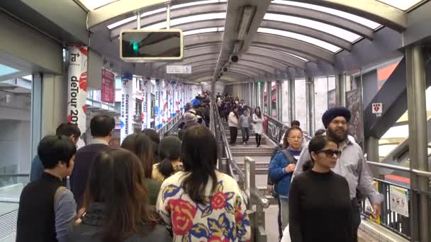 Hong Kong Central Mid Level Escalator People Movement Lifestyle Hong — Stock Video