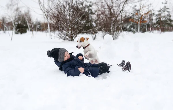 Cute boy and dog playing in snow. Dog of breed Jack Russell Terrier